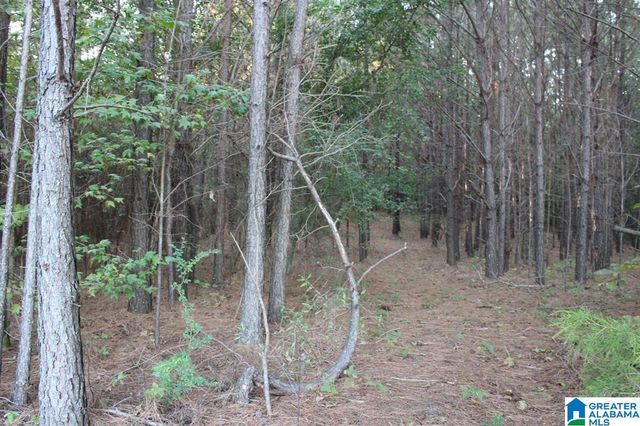 111 COUNTY ROAD 1202, Vinemont, AL 35179