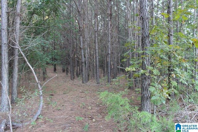 111 COUNTY ROAD 1202, Vinemont, AL 35179