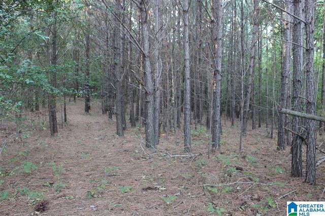 111 COUNTY ROAD 1202, Vinemont, AL 35179
