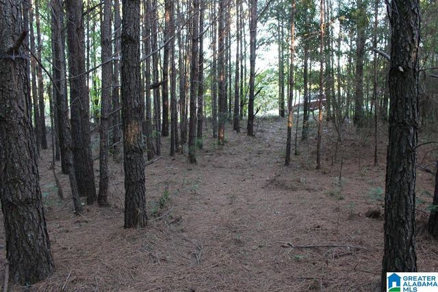 111 COUNTY ROAD 1202, Vinemont, AL 35179