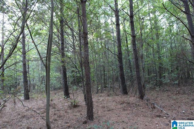 111 COUNTY ROAD 1202, Vinemont, AL 35179