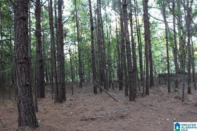 111 COUNTY ROAD 1202, Vinemont, AL 35179
