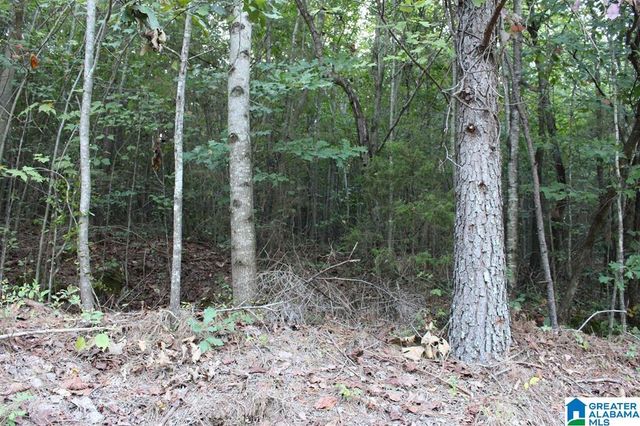 111 COUNTY ROAD 1202, Vinemont, AL 35179
