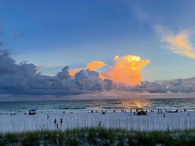 122 Seascape Drive UNIT 1005, Miramar Beach, FL 32550