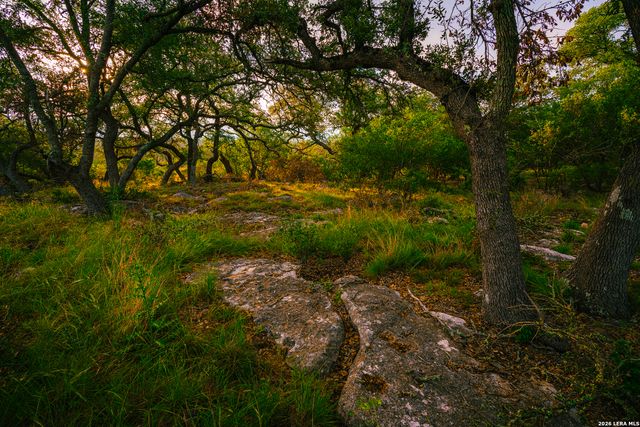 000 Elm Lookout, Spring Branch, TX 78070
