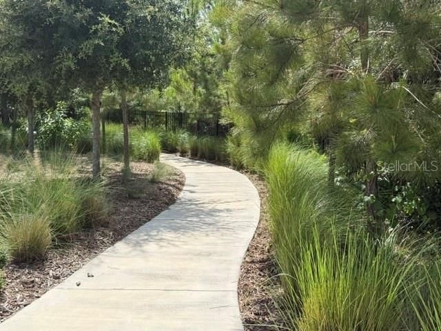 9760 MINNOW RAY DRIVE, Land O Lakes, FL 34638