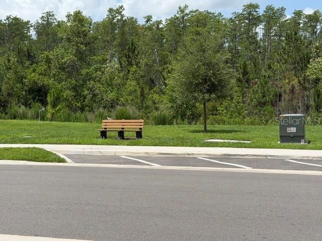 9760 MINNOW RAY DRIVE, Land O Lakes, FL 34638