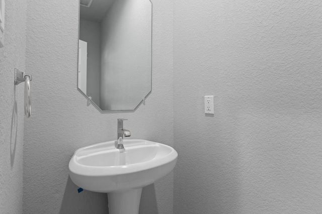 3818 Downy Birch Lane, Houston, TX 77084