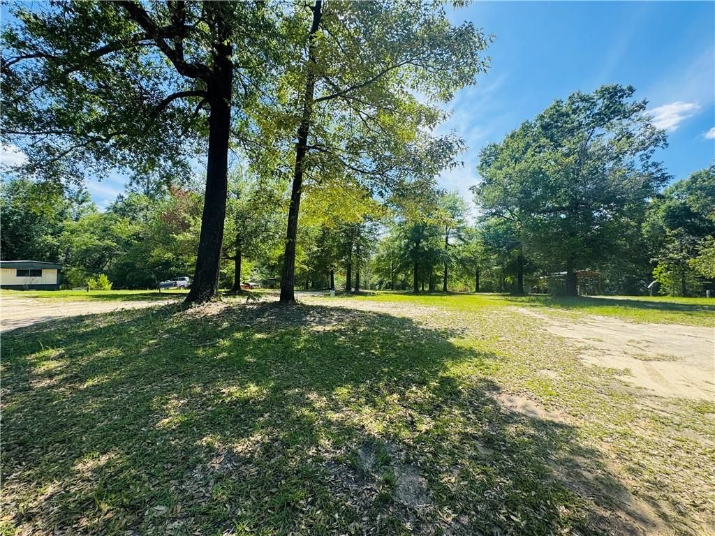 19035 Joan Harris Road, Mount Vernon, AL 36560 — exterior