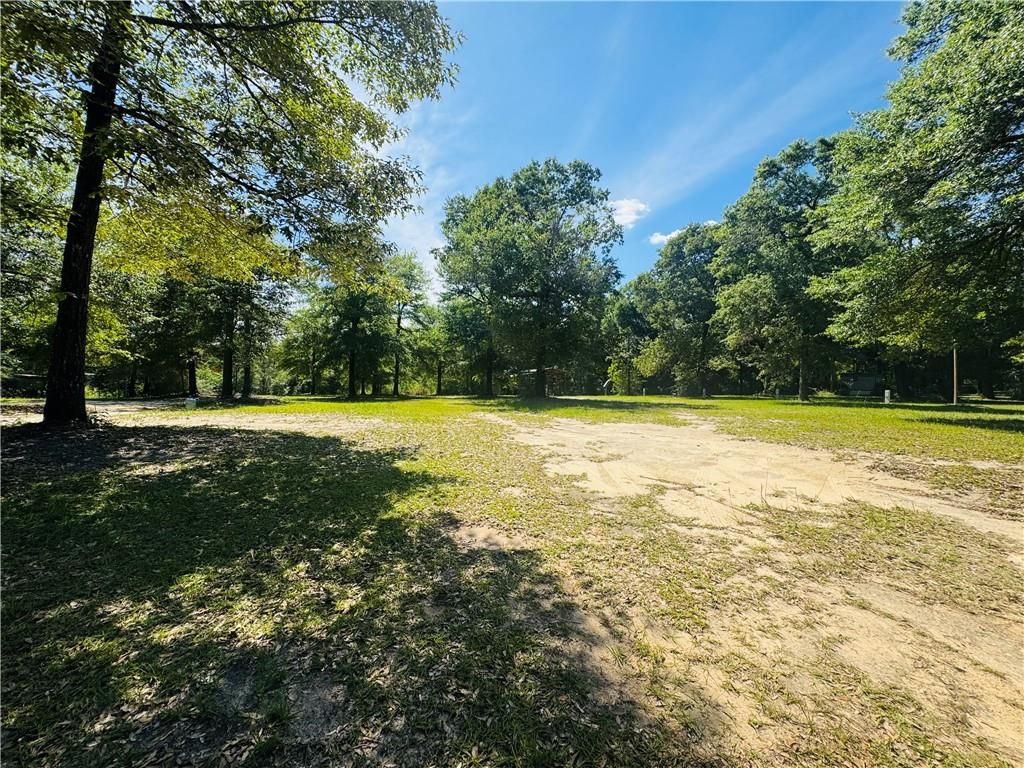 19035 Joan Harris Road, Mount Vernon, AL 36560 — photo 2