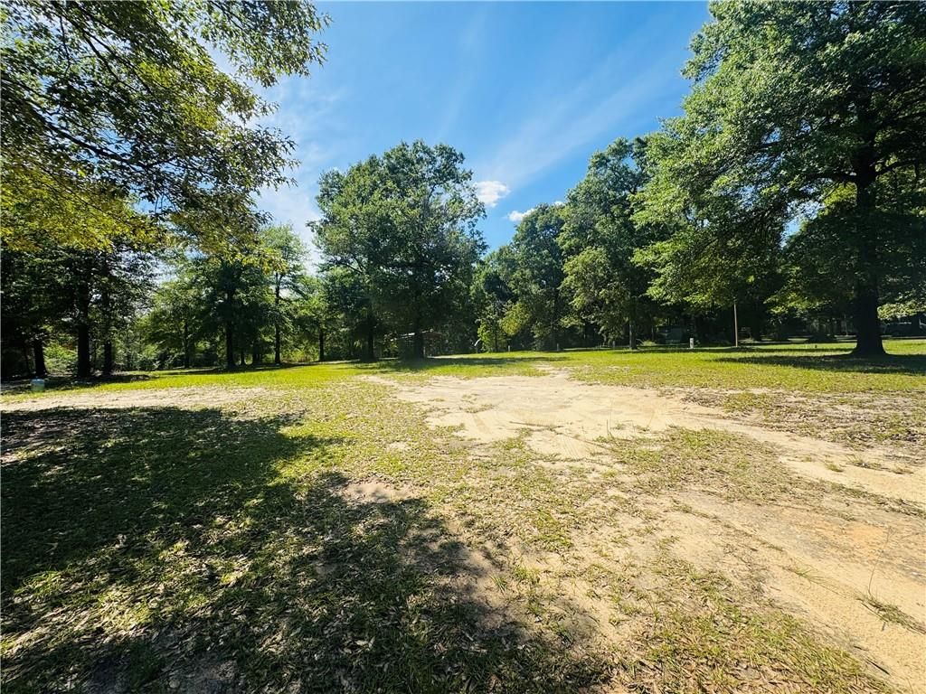 19035 Joan Harris Road, Mount Vernon, AL 36560 — photo 3