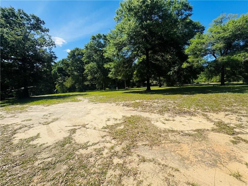 19035 Joan Harris Road, Mount Vernon, AL 36560 — photo 4