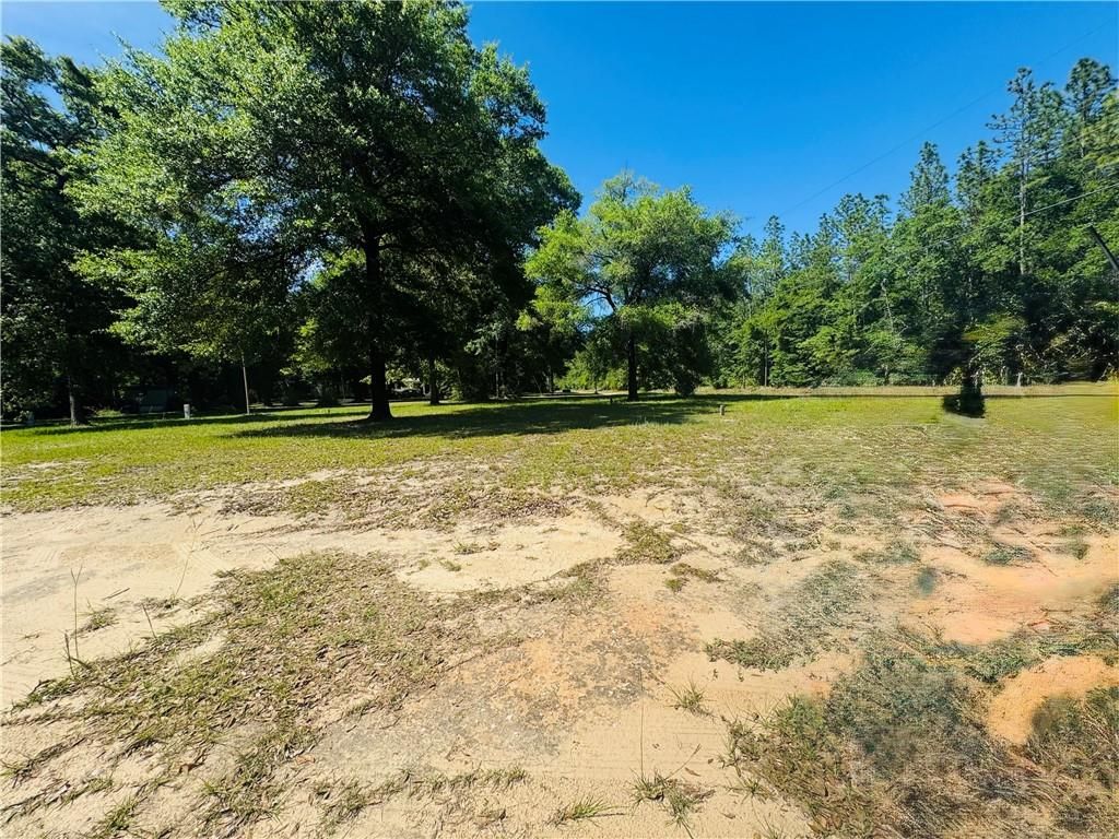 19035 Joan Harris Road, Mount Vernon, AL 36560 — photo 5
