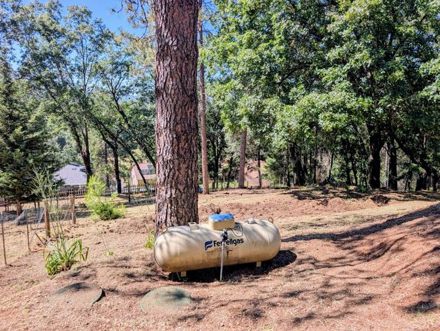 1840 Coyote Creek Ct, Cool, CA 95614
