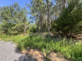 0 Rustic Pines Rd, Dover, TN 37058