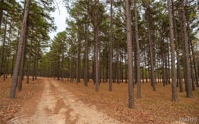 41 County Road 1851, Success, AR 72470