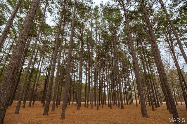 41 County Road 1851, Success, AR 72470