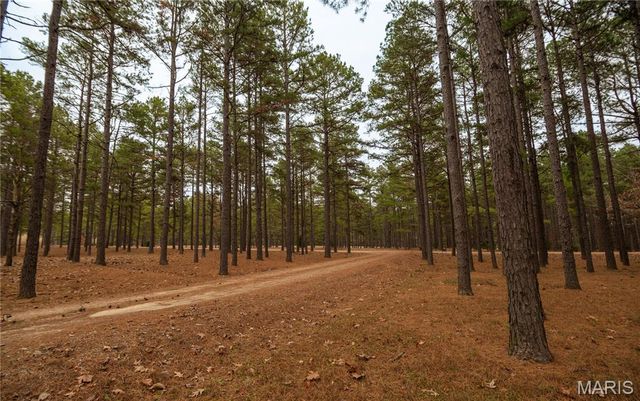 41 County Road 1851, Success, AR 72470