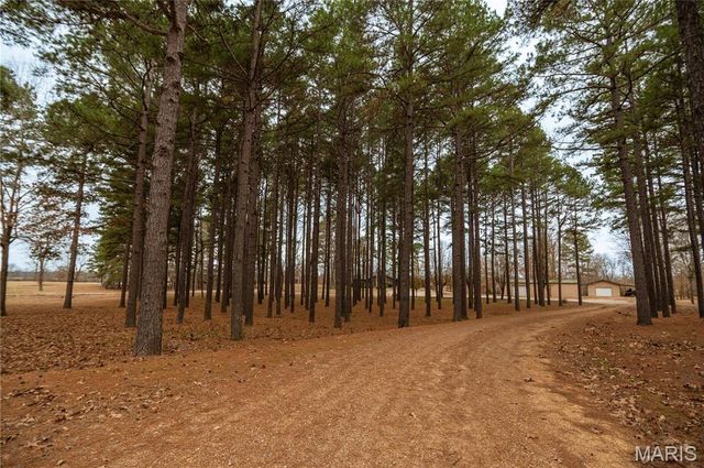 41 County Road 1851, Success, AR 72470