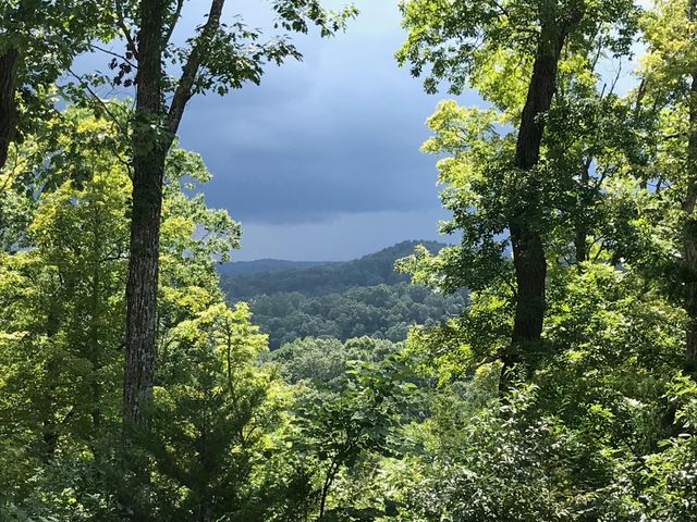 312 Bobcat Lane, Salt Lick, KY 40371