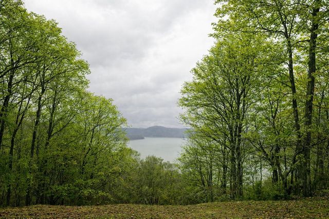 312 Bobcat Lane, Salt Lick, KY 40371