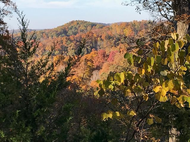 312 Bobcat Lane, Salt Lick, KY 40371