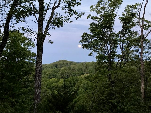 312 Bobcat Lane, Salt Lick, KY 40371