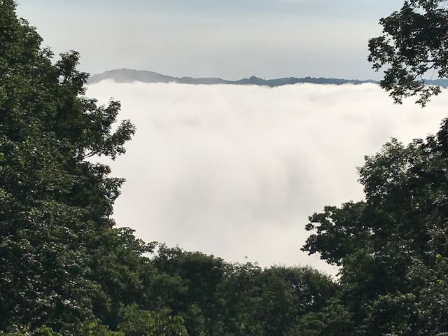 312 Bobcat Lane, Salt Lick, KY 40371