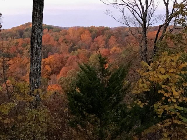 312 Bobcat Lane, Salt Lick, KY 40371