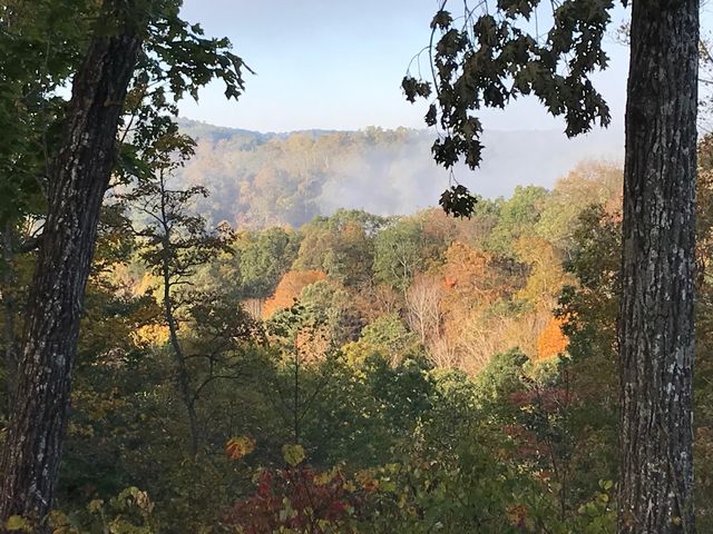 312 Bobcat Lane, Salt Lick, KY 40371