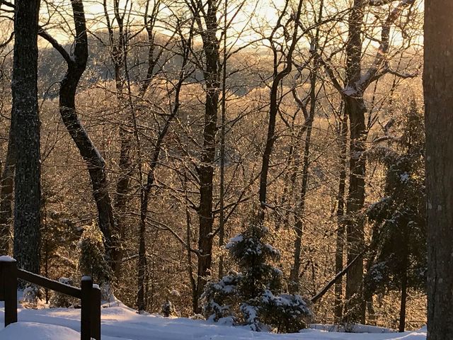 312 Bobcat Lane, Salt Lick, KY 40371