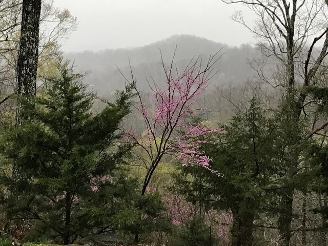 312 Bobcat Lane, Salt Lick, KY 40371