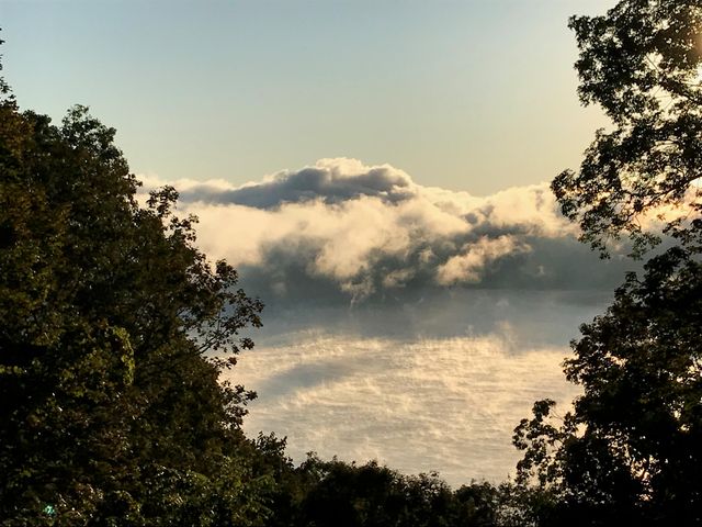 312 Bobcat Lane, Salt Lick, KY 40371