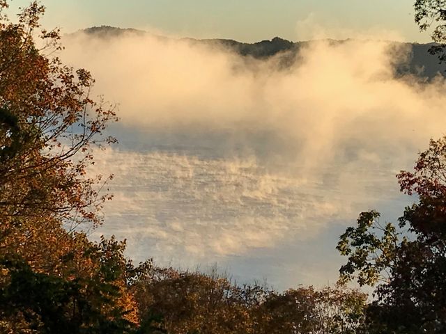 312 Bobcat Lane, Salt Lick, KY 40371