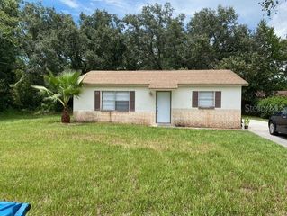 11225 MERCEDES STREET, Spring Hill, FL 34609