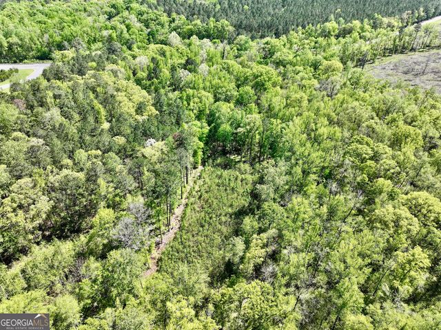 0 Ga Highway 87, Juliette, GA 31046