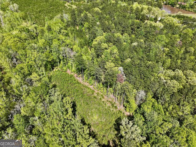 0 Ga Highway 87, Juliette, GA 31046