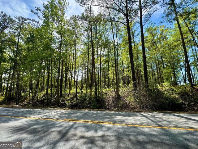 0 Ga Highway 87, Juliette, GA 31046