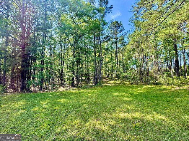 0 Ga Highway 87, Juliette, GA 31046