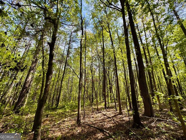 0 Ga Highway 87, Juliette, GA 31046