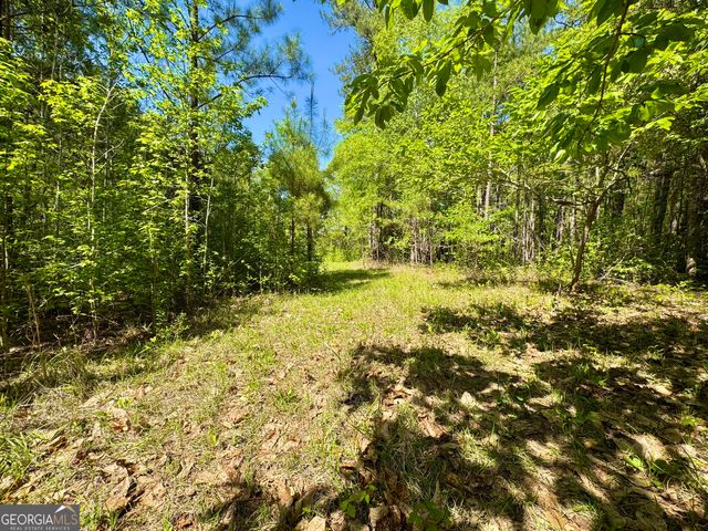 0 Ga Highway 87, Juliette, GA 31046