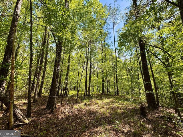 0 Ga Highway 87, Juliette, GA 31046
