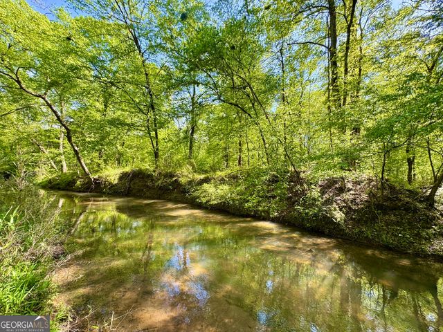 0 Ga Highway 87, Juliette, GA 31046