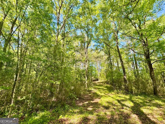 0 Ga Highway 87, Juliette, GA 31046