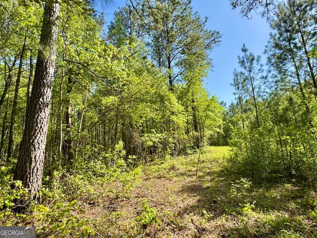 0 Ga Highway 87, Juliette, GA 31046