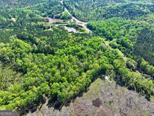 0 Ga Highway 87, Juliette, GA 31046