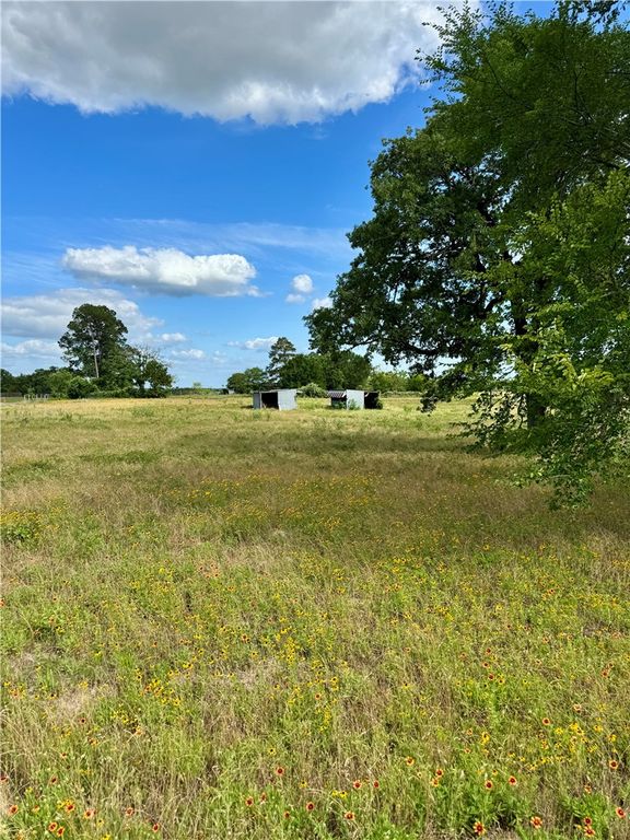 6177 Koppe Bridge Road, College Station, TX 77845 — photo 4