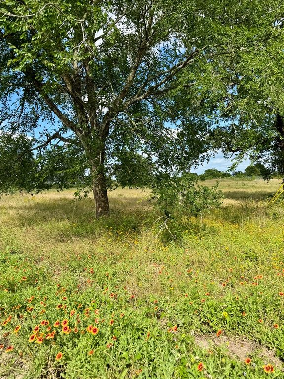 6177 Koppe Bridge Road, College Station, TX 77845 — photo 5