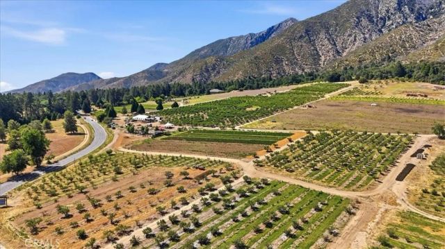 34662 Elmwood, Yucaipa, CA 92399
