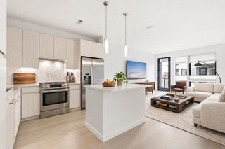 45 W 3rd St 413, Boston, MA 02127